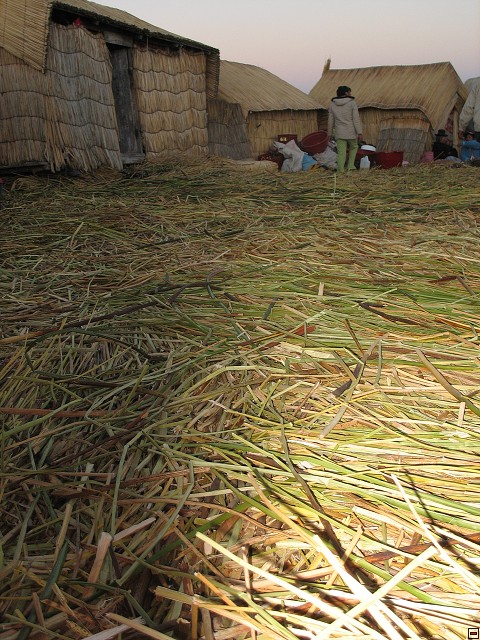 img01424.jpg
