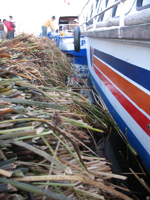 img01428.jpg