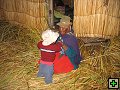 thn01426.jpg