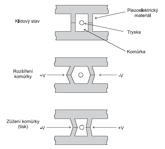 piezo.gif